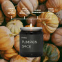 Candle Spy Pumpkin Spice Everlume