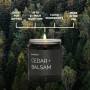 Candle Soy Cedar & Balsam Patchouli Juniper Pine