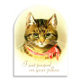 Funny Greeting Card Cat Kitten I Pooped On Your Pillow