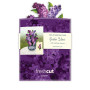 FreshCut Mini Pop Up 3D Lilacs Greeting Card