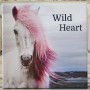Canvas Print Horse Pony Wild Hart 8x8x8 