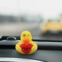 Rubber Duck I Ducking Love You Yellow Red Heart Birthday Valentines Day