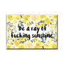Magnet, Be A Ray Of Fucking Sunshine