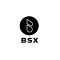 BSX