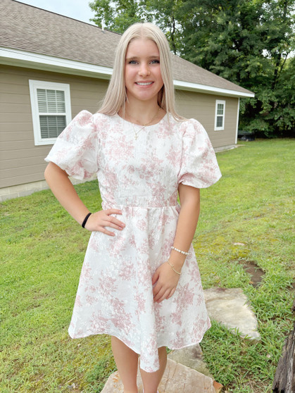 Brianna Blush Dress