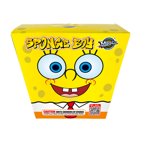SPONGEBOY