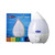 Medescan Rainbow Mist Humidifier at Blooms The Chemist