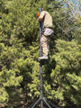 Pro View Tower Stand For Bow & Rifle Saddle Hunting