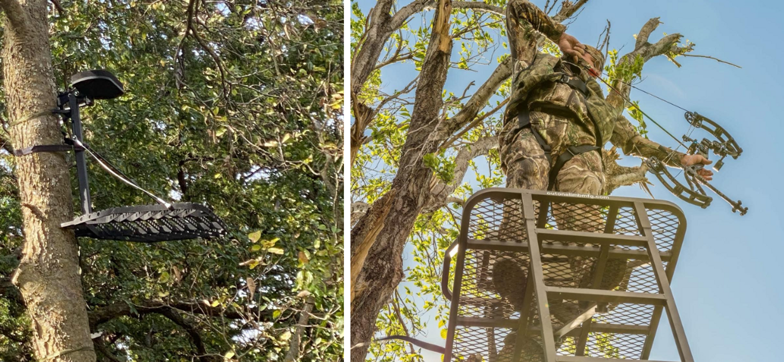 Selecting the right tree stand