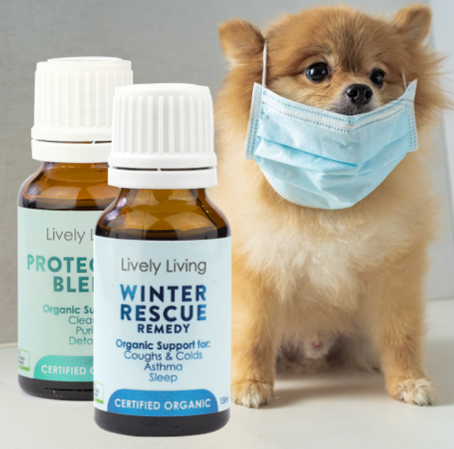 Pets And Essential Oils