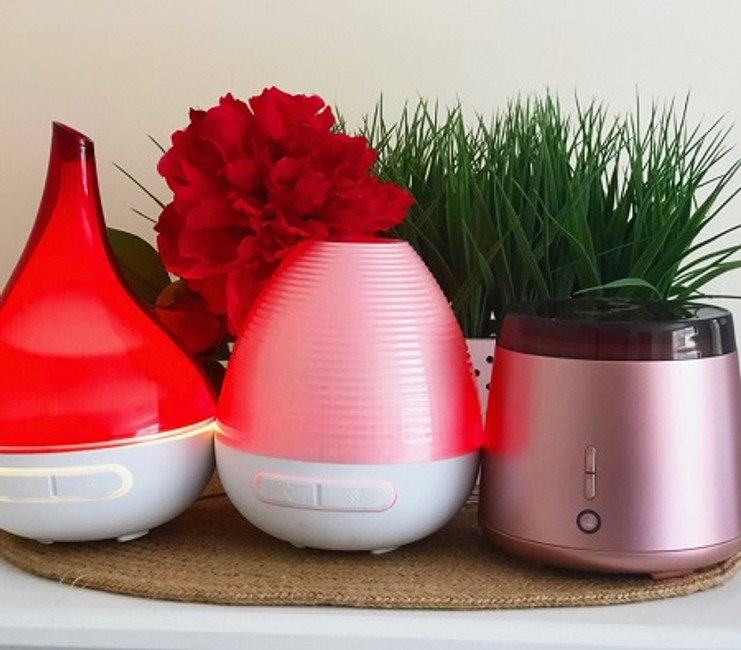 Bloom vs Snooze vs Home. What's the Right Vaporiser for Me?