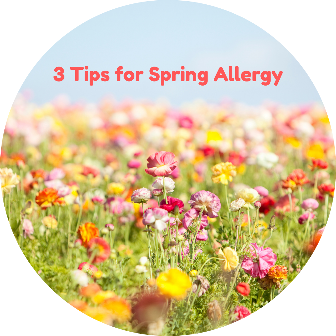 3 Tips for Spring Allergy 3 Tips for Spring Allergy