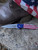 Kershaw Leek Framelock A/O Second
