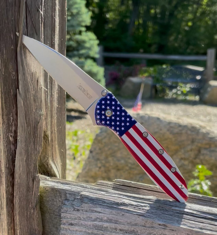 Kershaw Leek Framelock A/O Second