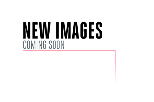 Audi RS3 8V Pre Facelift - 80mm Non-Resonated (Loudest) Cat Back with Polished Trims