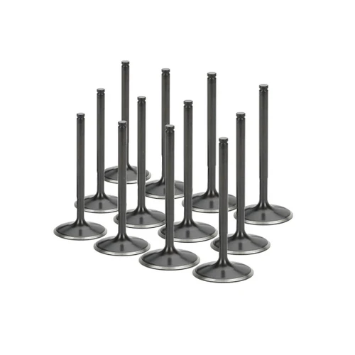 BMW M5 S38B38 Supertech Black Nitrided Intake Valve Set
