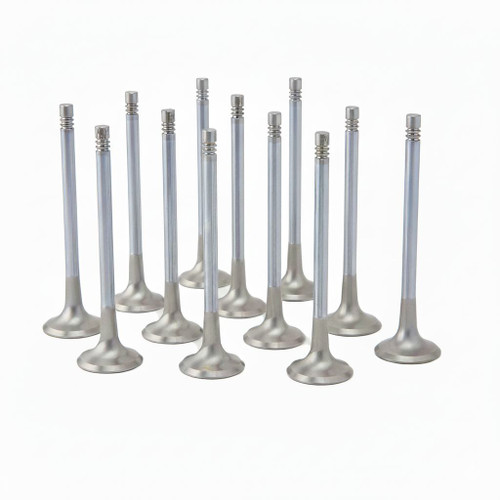 BMW 3.0L N55, S55 ZRP Exhaust Valve Inconel Std