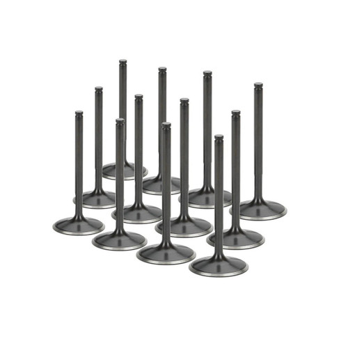 BMW M5 S38B38 Supertech Black Nitrided Intake Valve Set