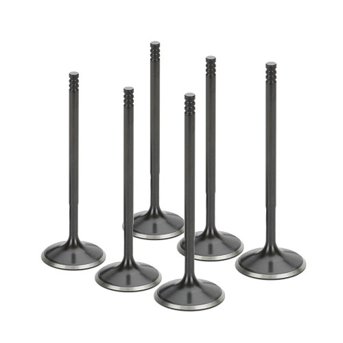 VW 2.8l VR6 12v Supertech Black Nitrided Intake Valve Set