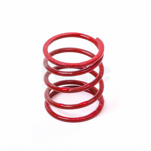Dump Valve Spring (Single)