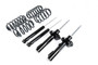 Racingline VWR30G70RW Sport Spring & Damper Kit -MQB Platform AWD: Golf 7 R Wagon