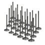 Audi A8 S4 RS6 4.2L 40v V8 Supertech Intake Valve Set (Single Groove)
