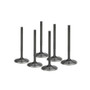 BMW M20B25 Supertech Black Nitrided Intake Valve Set