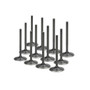 BMW M5 S38B38 Supertech Black Nitrided Intake Valve Set
