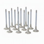 BMW 3.0L N55, S55 ZRP Exhaust Valve Inconel Std