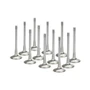 Ford Duratec 3.0L V6 24v Supertech Inconel Exhaust Valve Set
