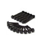 Mitsubishi 2.0L 4B11 EVO10 Main Bolts Kit