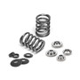 VW 2.0L 8v Supertech Single Valve Spring Kit (Stem 8.0mm)