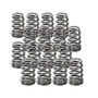 VW 2.0L TFSI, TSI Supertech Beehive Single Valve Spring Set