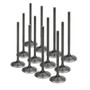 VW 1.8T 20v Supertech Intake Valve Set (Single Groove)