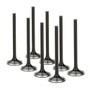 VW 1.8L & 2.0L 16v Supertech Black Nitrided Intake Valve Set