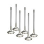 Supertech Acura B16A / B17A Sodium Filled Inconel Exhaust Valves HEVI-1000-HS-6