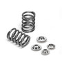 Supertech Acura K20A2 / K20A3 / K20A4 Performance Single Valve Spring Kit with Titanium Retainers SPRK-M1007S-K2