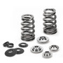Supertech Ford Duratec 2.0 Performance Beehive Valve Spring Kit with Titanium Retainers SPRK-TS-DUR-BE1