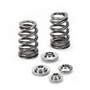 Supertech Ford MK 2.5RS Performance Beehive Valve Spring Kit with Titanium Retainers SPRK-TS1015-BE-5C