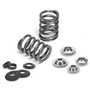 Supertech Acura B18A / B18B Performance Single Valve Spring Kit with Titanium Retainers SPRK-TS2081-LS