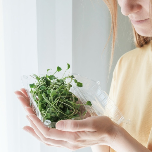 5 Amazing Benefits of Broccoli Sprouts