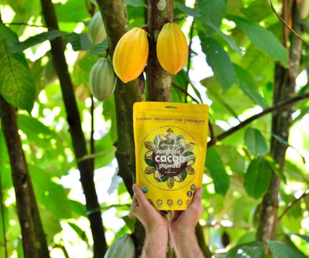 5 Benefits of Raw Cacao