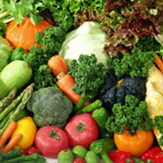 Postgraduate Symposium: Positive influence of nutritional alkalinity on bone health.