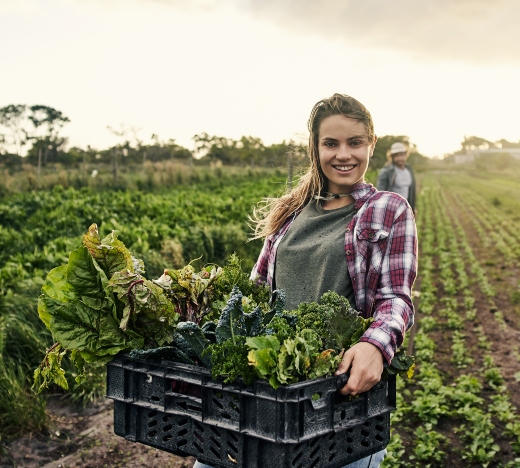 What measures do we take to ensure the quality of pHresh Greens?