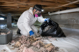 Crawl Space Cleanup: A Pro's Guide to Debris, Old Insulation and Contamination