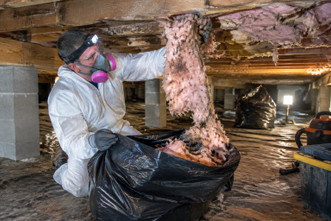 Crawl Space Insulation Removal: How Pros Run the Job From the Access Hole Out