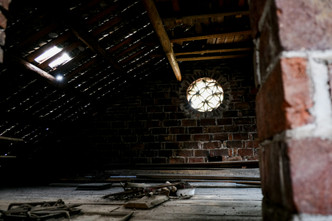 Raccoon Feces in the Attic: Latrine Cleanup, Roundworm Risk and Insulation Removal