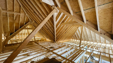 Squirrel Droppings in the Attic: Identification, Health Risks and Cleanup