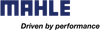Mahle Motorsports