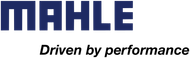 Mahle Motorsports